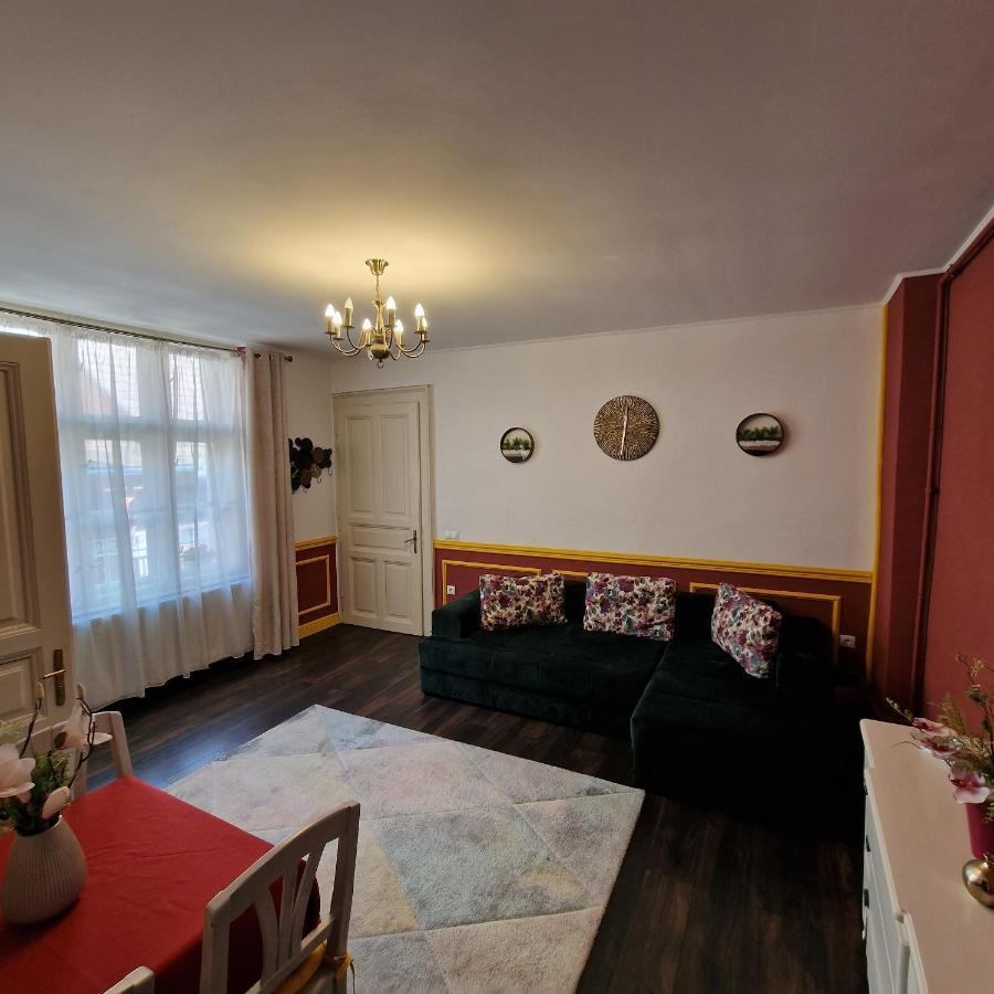 Central Park Apartment Sighişoara Esterno foto
