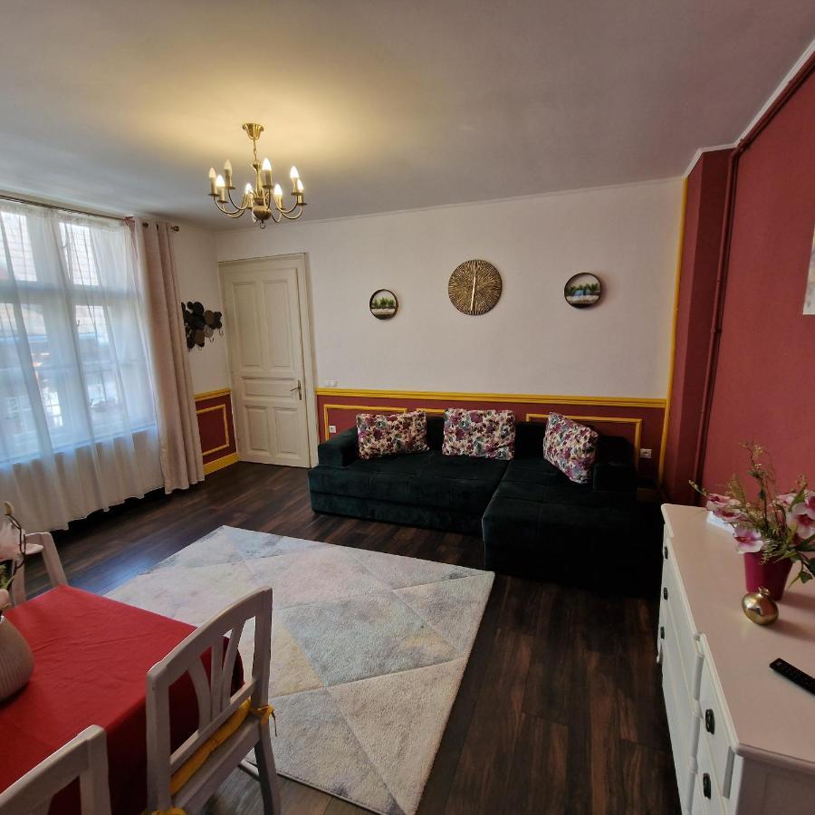 Central Park Apartment Sighişoara Esterno foto