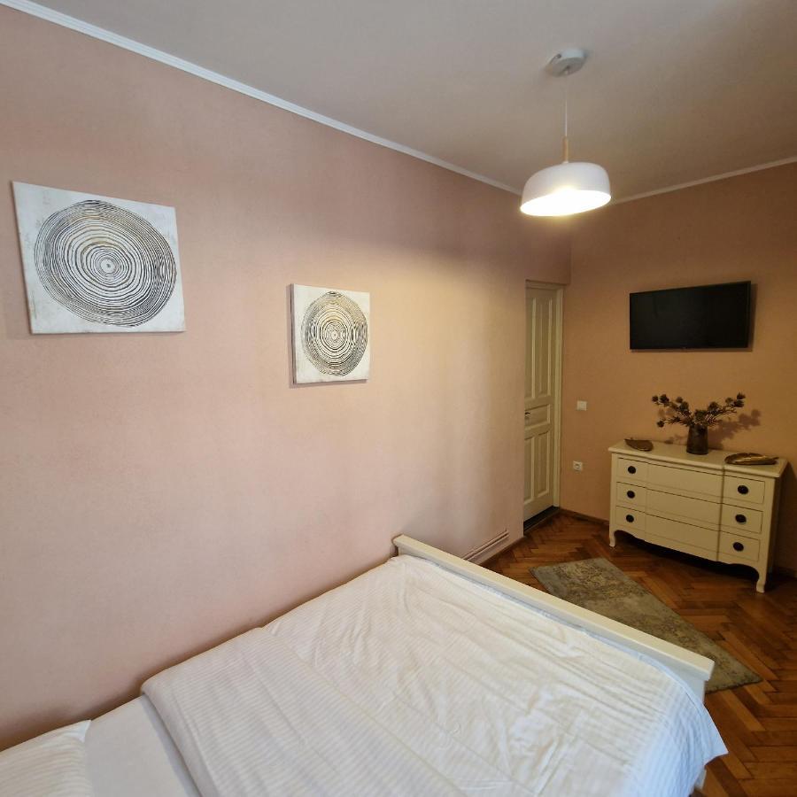 Central Park Apartment Sighişoara Esterno foto